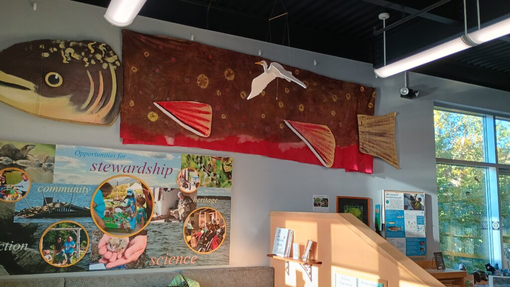Our Trout Puppet on display at the ECHO Center!